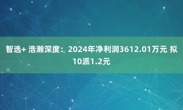 智选+ 浩瀚深度：2024年净利润3612.01万元 拟10派1.2元