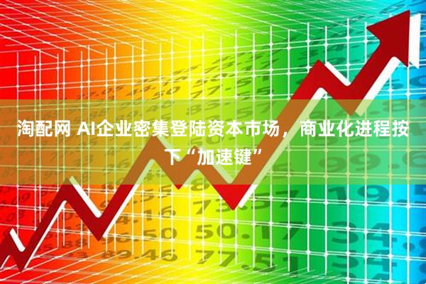 淘配网 AI企业密集登陆资本市场，商业化进程按下“加速键”