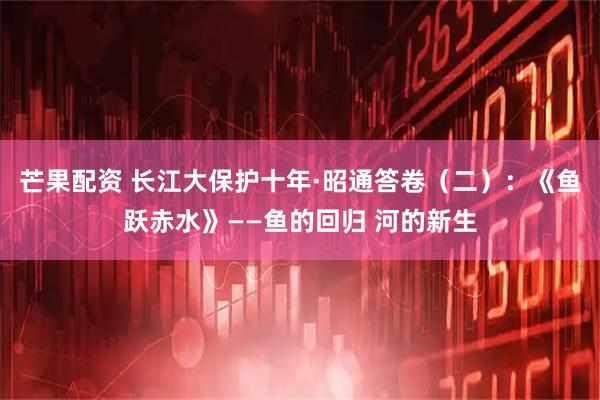 芒果配资 长江大保护十年·昭通答卷（二）：《鱼跃赤水》——鱼的回归 河的新生