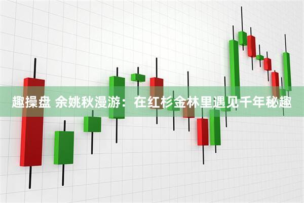 趣操盘 余姚秋漫游:在红杉金林里遇见千年秘趣